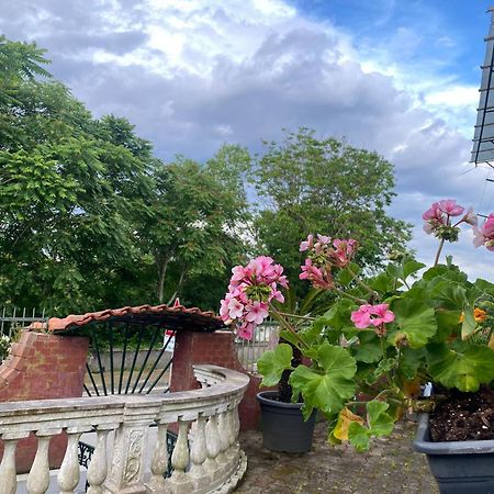 Вилла La Casa Del Bosco - Unique Two Floors House With Garden Неаполь Экстерьер фото